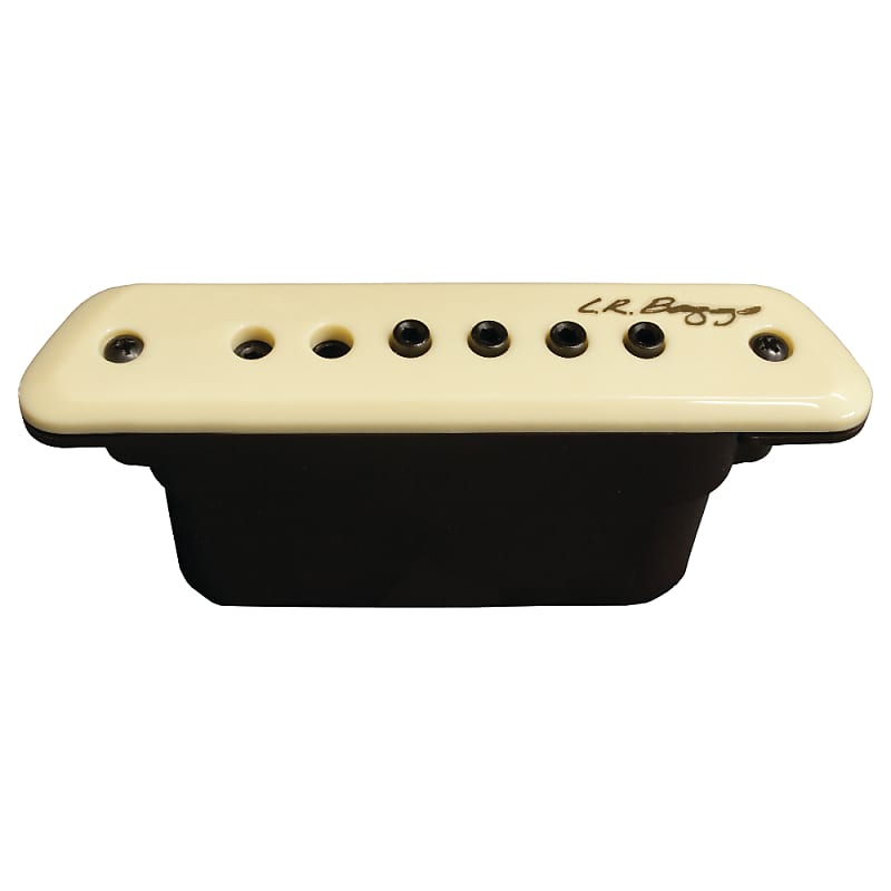 7月1日より価格改定】Taylor（テイラー）値上がり前のラスト
