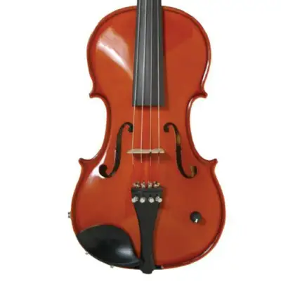 Barcus-Berry BAR-AEV Vibrato AE Series Acoustic-Electric Violin. Natural image 1