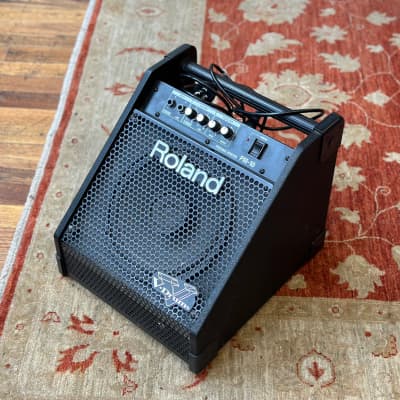 Roland PM-10 30-Watt 2x10