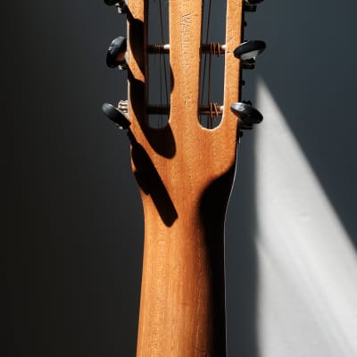 Washburn Style E Flat Top Acoustic Guitar, made by Lyon & Healy (1923-5), black hard shell case. image 12