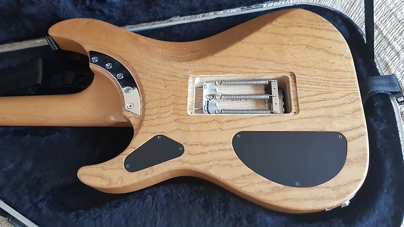 初期1994年製 USA Washburn N4 Padauk ヌーノ 楽器・機材