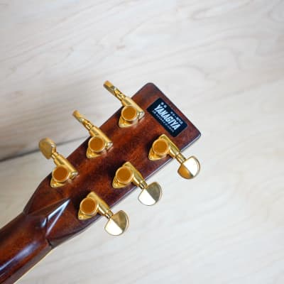 Tokai Hummingbird Custom W-500 1970's Natural Vintage Made