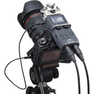 Zoom H5 Handy Recorder with Interchangeable Microphone System (Demo Unit) image 9