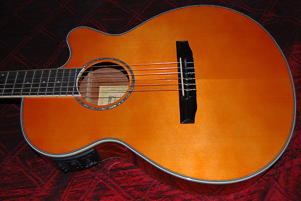 Ibanez AEG10NII Nylon String Cutaway Acoustic Electric Reverb Canada