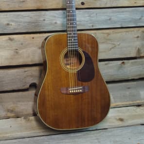 Fender Newporter  Mahogany Acoustic Guitar image 1