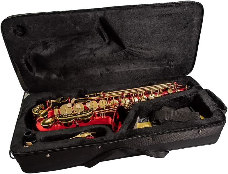 Elkhart Vincent Bach Deluxe E Flat Alto Saxophone | 100ASR High F# key . image 1