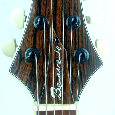 Benavente 2K Custom  T-Rex Guitar image 4