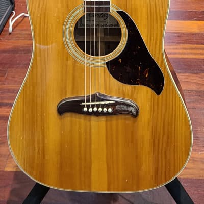 Cortez J-6600 J6600 Acoustic Guitar Made in Japan with hard case 1970s? - Natural for sale