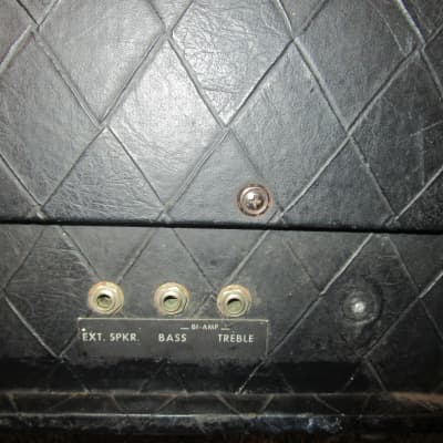 Polytone Mini-S15 ( L or B) 15" combo amp image 8