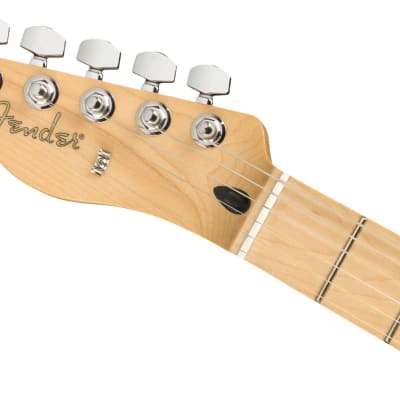 Fender 0145222550  Player Telecaster Left-Handed, Maple Fingerboard - Butterscotch Blonde image 5