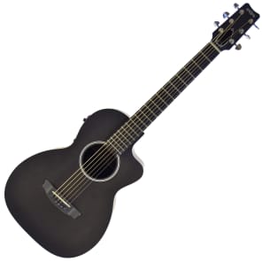 Rainsong parlor guitar new arrivals