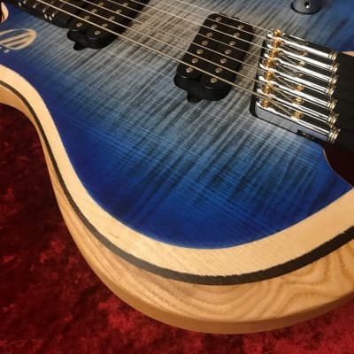 Overload Custom Guitars Themis 7 2024 | Reverb
