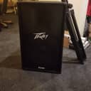 Peavey PV 115D 15" Powered Speaker Cabinet w/stand