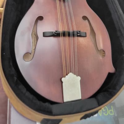 Kentucky KM-606 Standard F-Style Mandolin with Deluxe Padded Case - Satin Brown image 2
