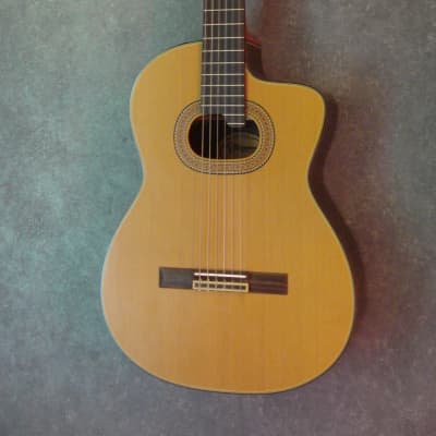 Takamine shop e50 nylon