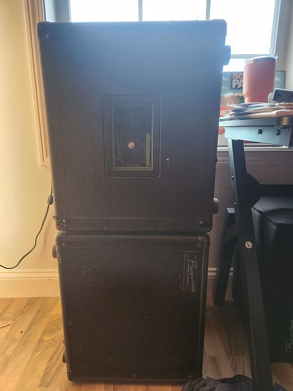 Bergantino HD112 Bass Cabinet | Reverb