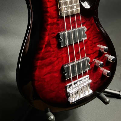 Schecter C-4 Plus 4-String Bass Guitar Quilted See-Thru Black Cherry image 3
