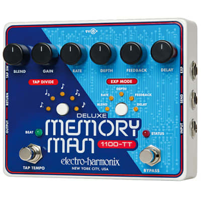 Electro Harmonix Deluxe Memory Man 1100 TT Bild 1