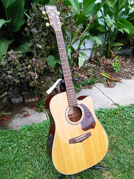Ibanez pf5ece shop