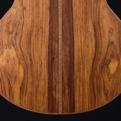Lowden F-50 Fan Fret Sinker Rosewood and Alpine Spruce 2021 Winter Limited Edition NEW image 21