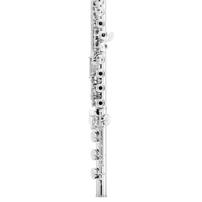 Azumi AZ3SRBEO Open-Hole Flute with Case image 3
