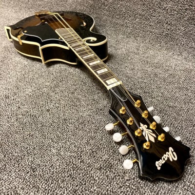 Ibanez M522S-DVS F Style Mandolin Dark Violin Sunburst image 12