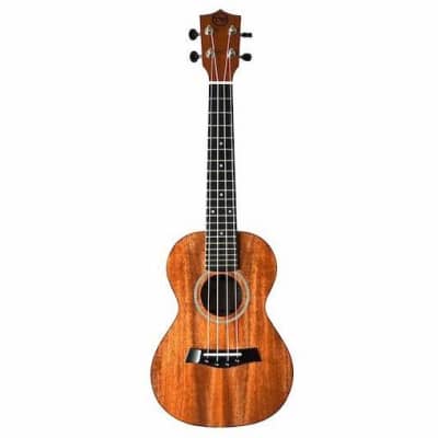 All Mahogany Zemaitis ZUK-200M Concert Ukulele with Gig Bag, Certificate of  Production & Box | Reverb Canada