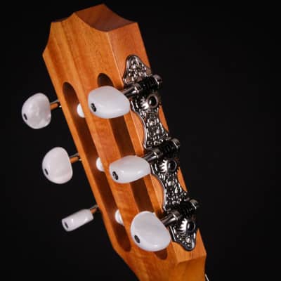 Taylor Academy 12e-N Natural Nylon String Guitar 2023 (2204243013) image 8