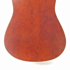 Seagull Coastline S12 Cedar 12-String Acoustic Guitar image 6