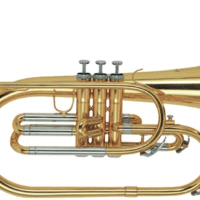 Stagg F Marching Mellophone, in case