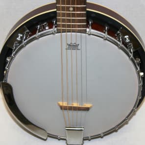 Trinity River 6 String Banjo image 10