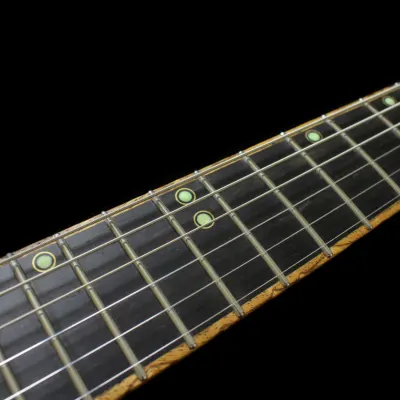 Stone Wolf Guitars Bespoke  2020 Exotic wood Resin image 8
