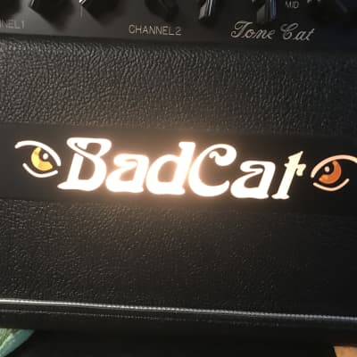 Bad Cat Tone Cat 2000's Black only around 20 of these amps