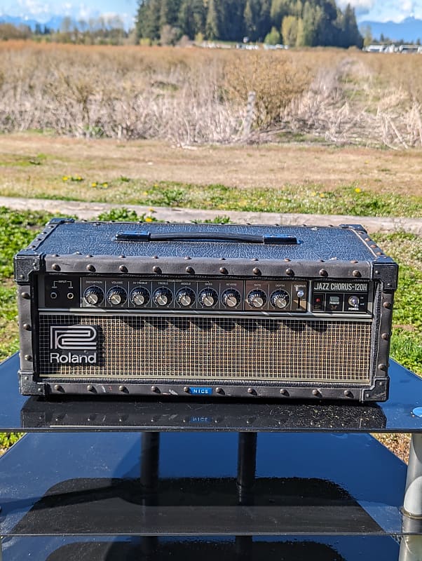 Roland JC-120H Jazz Chorus 120-Watt Guitar Head | Reverb Canada