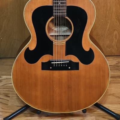 Morris MV-701 1982 Vanguard Series Acoustic | Reverb