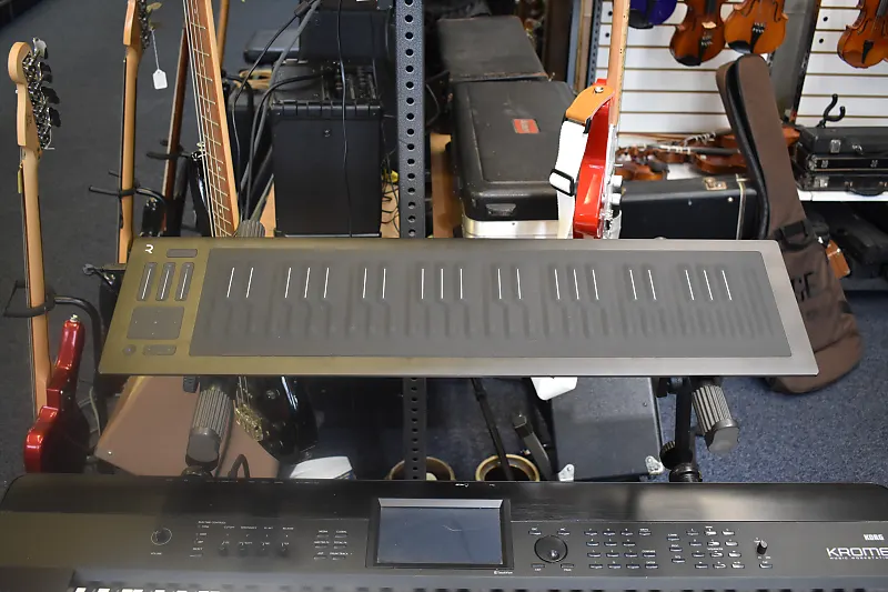 ROLI Seaboard RISE 49 | Reverb