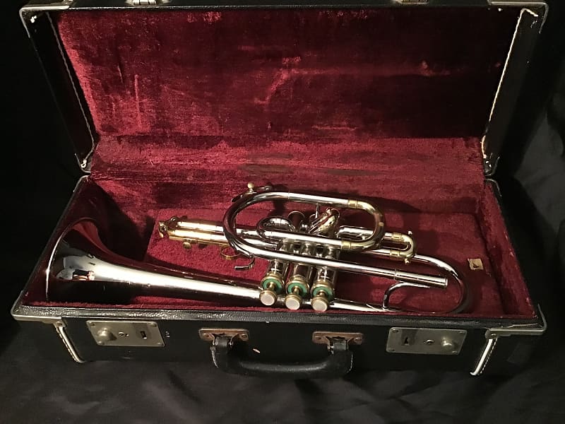 King Tempo 1970s Silver Brass Reverb