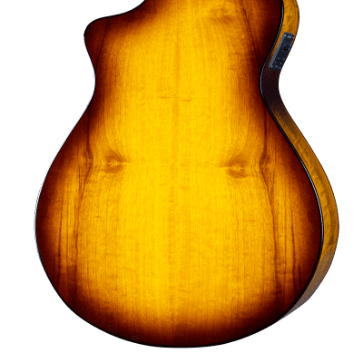 Breedlove Pursuit Exotic S Concert Tiger's Eye CE Acoustic Electric Guitar Myrtlewood image 2