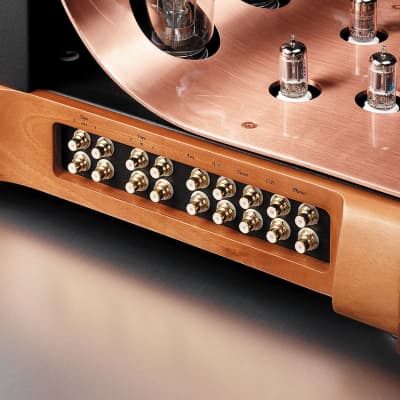 UNISON RESEARCH Absolute 845 SE - Dual Mono Integrated Tube Amplifier - NEW! image 3