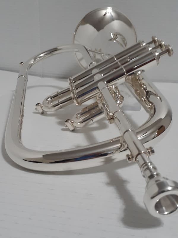 Getzen ETERNA 895S- 3 Valve FLUGELHORN , Mouthpiece & 2 Handle Combo Hard  case . 1972-1975 - Silver plated