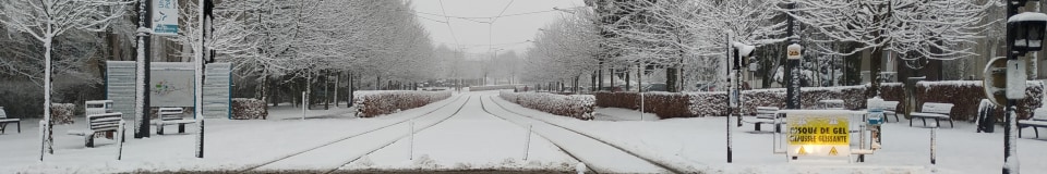 Sklunatik