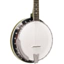 Gold Tone BG-250 Bluegrass Special 5-String Banjo
