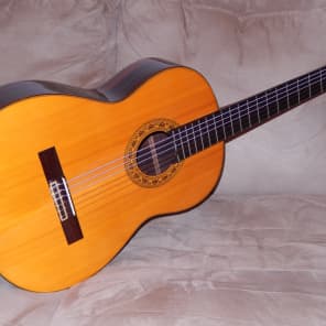 EL DEGAS アコースティックギター Vintage El Degas Classical Guitar - Etsy
