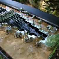 Jackson steel guitar company store