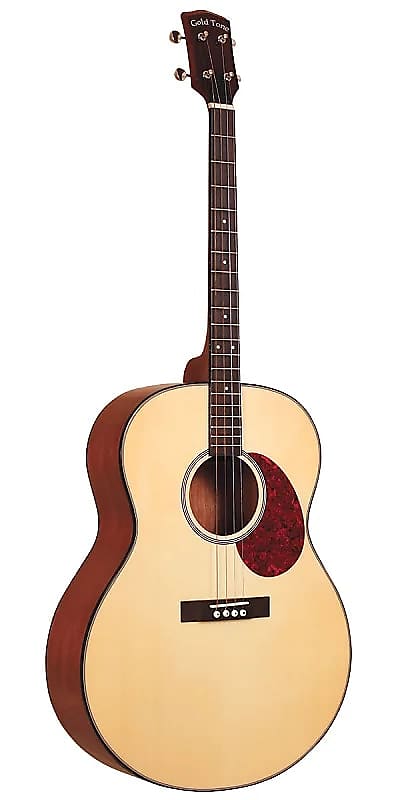 Gold Tone TG-10 Mahogany Neck 4-String Acoustic Tenor Guitar with Hard Case image 1