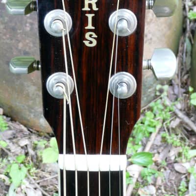 Morris WS30-E Piezo PU fitted 1975-78 Natural image 4