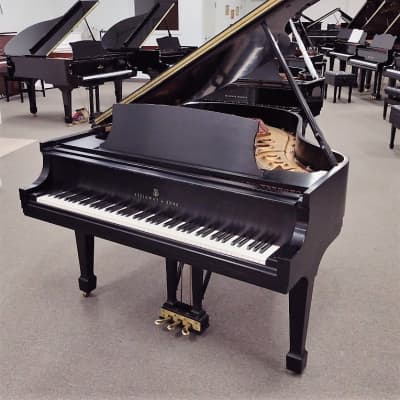 Steinway Model L Grand Piano image 2
