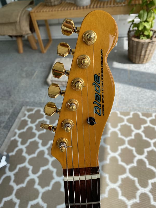 ギター Blade Levinson Telecaster Junk No, 032