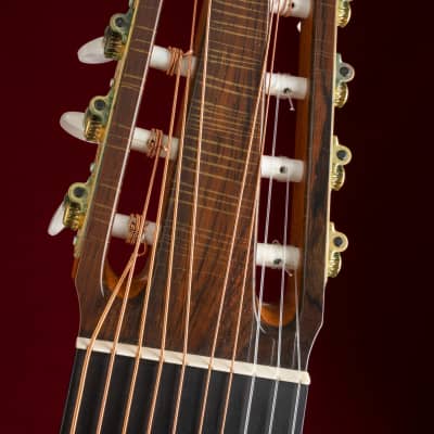 Immagine 1981 Sergei de Jonge 10 String Classical Guitar - Brazilian Rosewood, Luthier Letter of Appraisal - 15