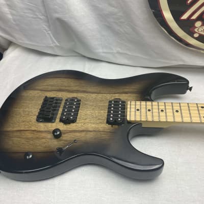FGN Fujigen BOS2EW1MHH DMT Limited Model J-Standard Odyssey S-style Guitar MIJ Made In Japan 2021 - Dark Mocha Burst image 2